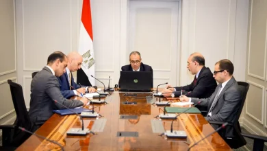 وزير-الخارجية-يبحث-مع-نظيره-الدنماركي-سبل-تعزيز-العلاقات-بين-البلدين