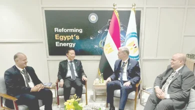 تشجيع-الاستثماراتوزير-البترول-خلال-اجتماع-مع-رئيس-«بى.-بى»-العالمية