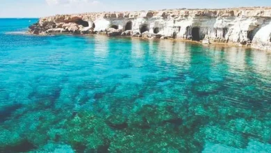 المحميات-الطبيعية-كنز السياحة البيئية فى مصر