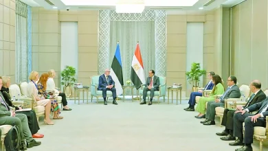 مدبولى.-لرئيس-«إستونيا»:-حريصون-على-تعزيز-العلاقات-الثنائية