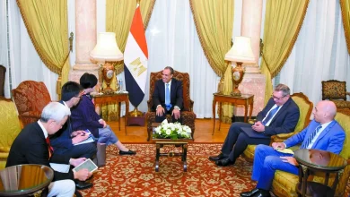 «عبدالعاطى».-فى-استقبال-محافظة-طوكيو:-مصر تتطلع لاستمرار تدفق «الاستثمارات اليابانية»