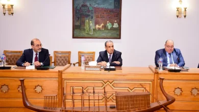 وزير-الخارجية-يناقش-مع-الأوروبيين-سبل-تعزيز-التعاون-في-مختلف-المجالات
