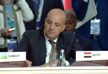 مصر-تؤكد-على-فرص-الاستثمار-والتجارة-الواعدة-في-القارة-الإفريقية